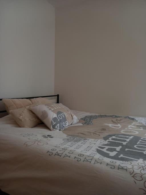Le Doubs Cosy Apartment เบอซองซง ภายนอก รูปภาพ