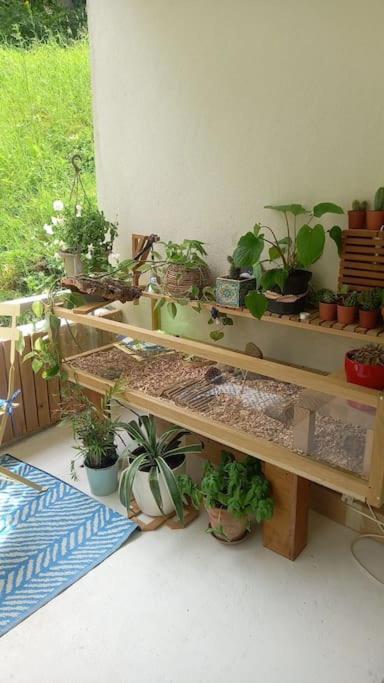 Le Doubs Cosy Apartment เบอซองซง ภายนอก รูปภาพ