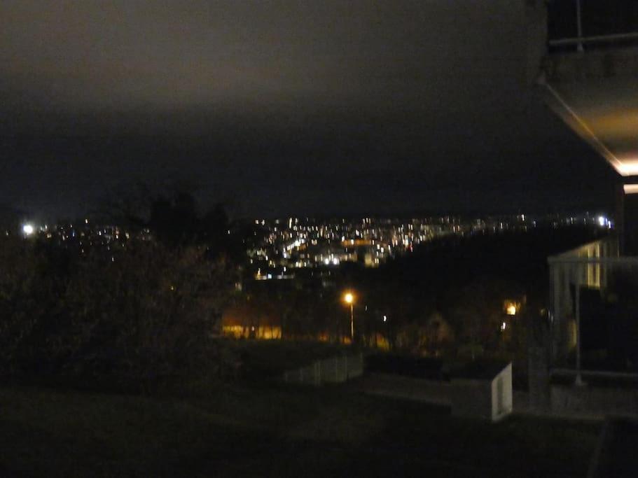 Le Doubs Cosy Apartment เบอซองซง ภายนอก รูปภาพ