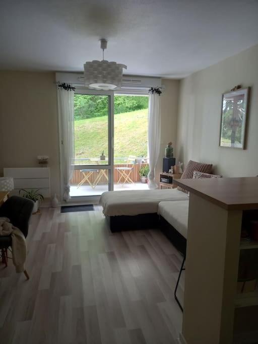 Le Doubs Cosy Apartment เบอซองซง ภายนอก รูปภาพ