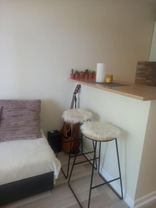 Le Doubs Cosy Apartment เบอซองซง ภายนอก รูปภาพ