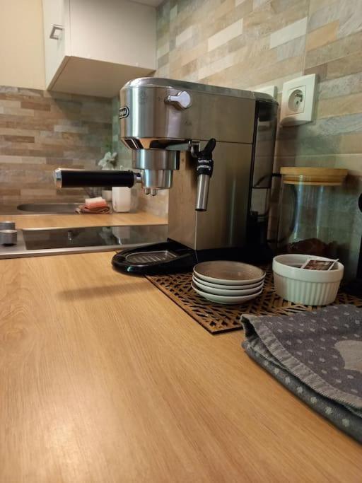 Le Doubs Cosy Apartment เบอซองซง ภายนอก รูปภาพ